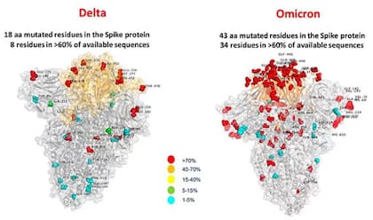 Primera "imagen" de ómicron muestra muchas más mutaciones que en variante delta