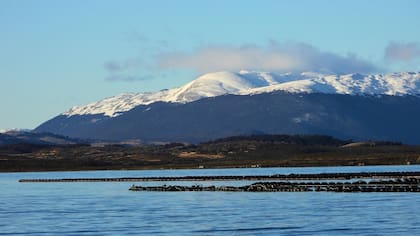 Primera producción mitícola a escala industrial del país, en el Canal de Beagle. Gentileza Mónica Torres (Cadic-Conicet)