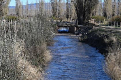 Primero se abre el canal troncal y se deja que el agua recorra los 14 kilómetros, lo que lleva toda la jornada