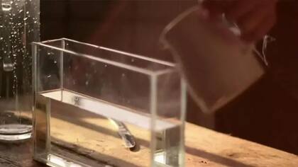 Primero tomas un recipiente de vidrio, le echas agua y unas gotas de leche.