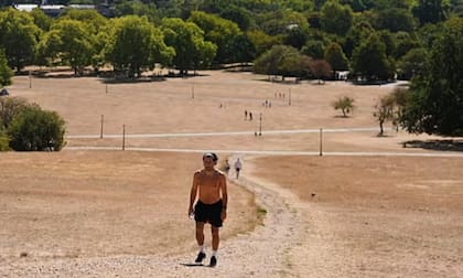 Primrose Hill, en el norte de Londres, presentó una postal inusual