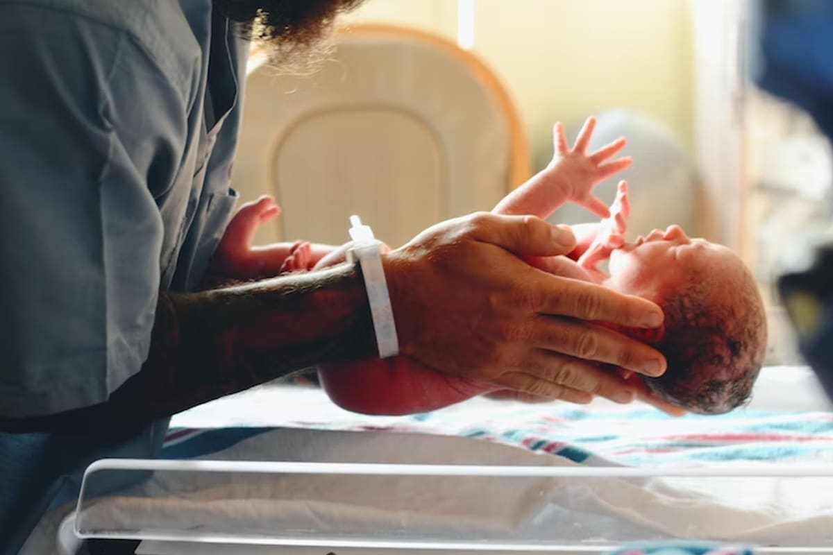 Priorizar la vida en todas sus formas