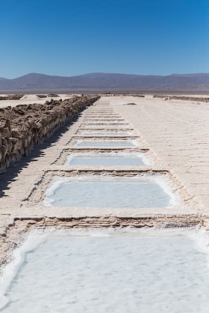Piletones en la blancura del salar norteño.