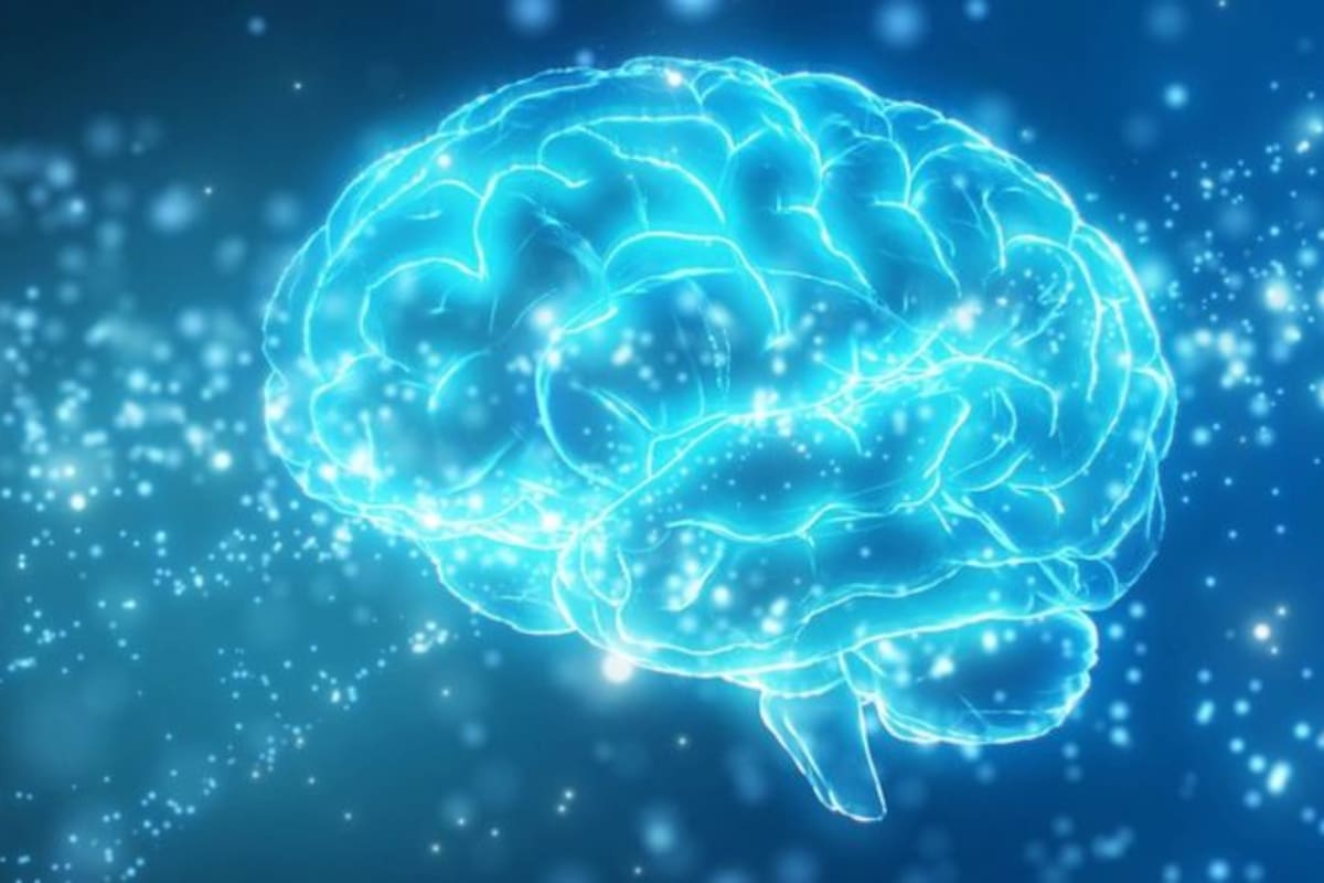 Probar con una nueva actividad es la mejor manera para salir de la zona de confort y "entrenar" el cerebro