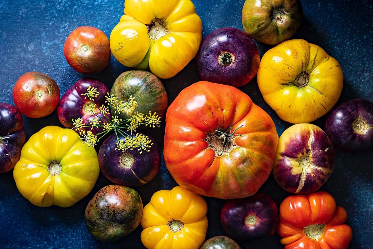 “Probé un tomate, el más grandote, el más feo, el que nadie quería, y de repente sentí un sabor que no sentía desde chiquito”, recuerda Kunis