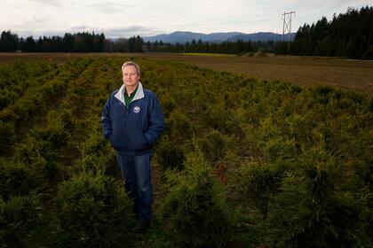 Problemas presupuestales e incertidumbre complican planes de estados para temporada de incendios