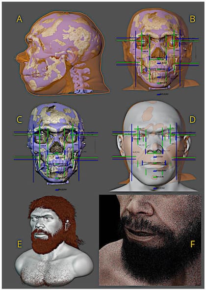 Proceso de aproximación facial compartido por los investigadores