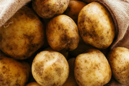 Producción de "El Parque Papas", en Nicanor Otamendi, provincia de Buenos Aires