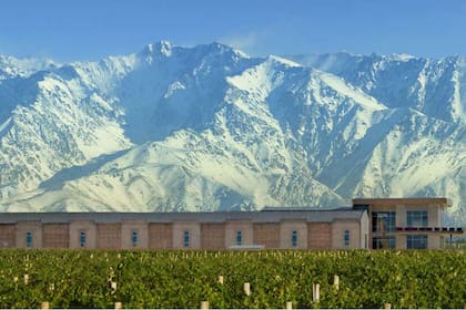 Producción orgánica. Una oportunidad que también vio Domaine Bousquet