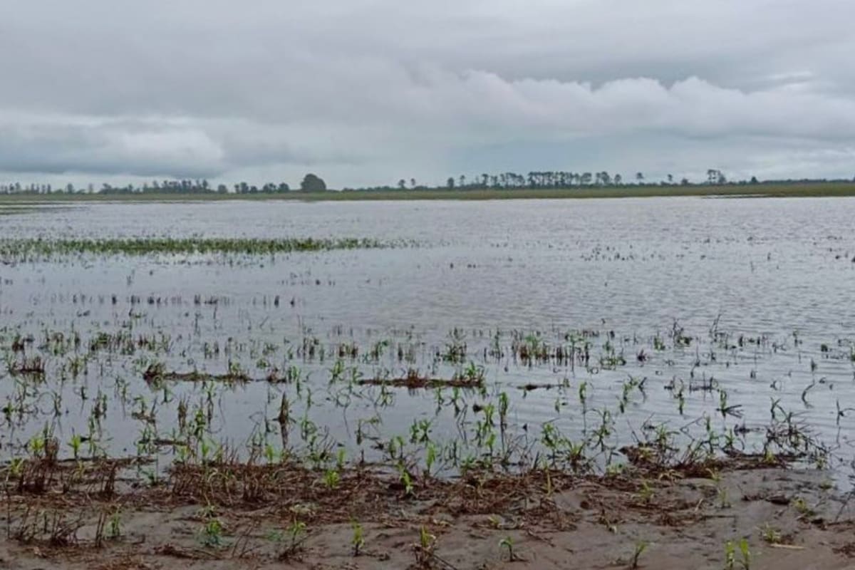 Productores advierten que los caminos rurales y los canales de desagüe resultaron muy afectados por el exceso de agua