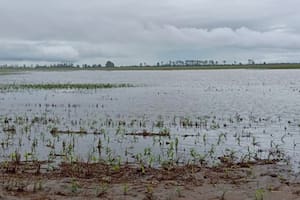 Productores advierten que los caminos rurales y los canales de desagüe resultaron muy afectados por el exceso de agua