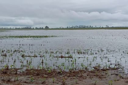 Productores advierten que los caminos rurales y los canales de desagüe resultaron muy afectados por el exceso de agua
