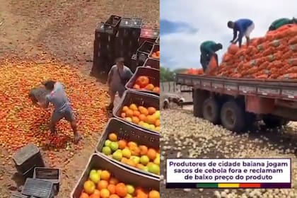 Productores de Brasil tiran la producción ante los bajos precios que les ofrecen en los mercados