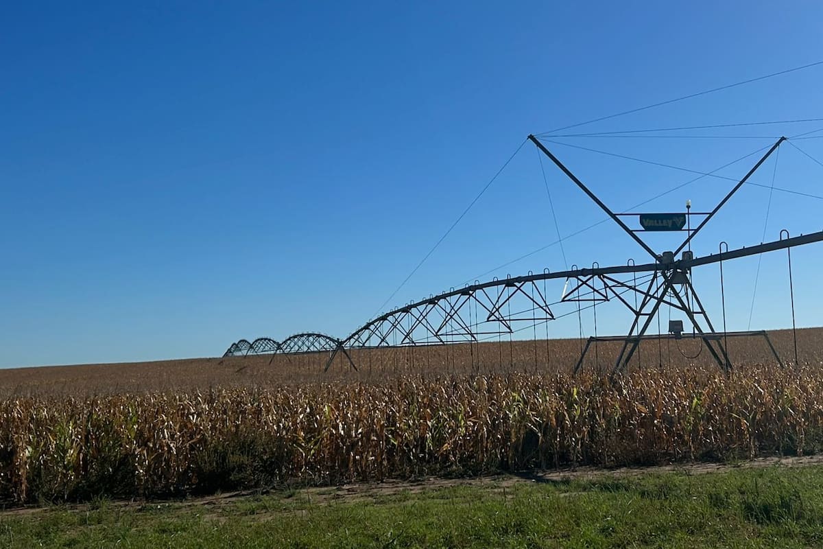 Productores de Buenos Aires recibieron notificaciones para inscribirse en el registro de uso de agua, incluso en campos sin riego; el tema generó preocupación y abrió un reclamo del sector