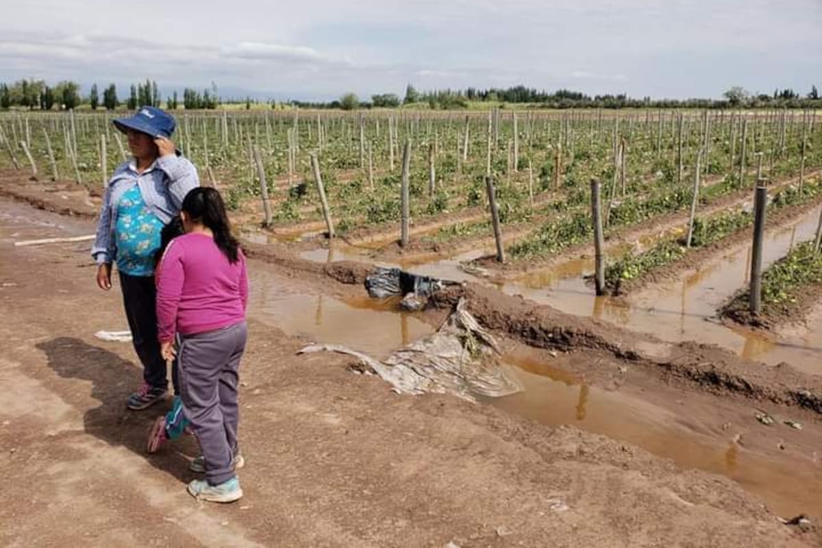 Productores de las economías regionales se mostraron insatisfechos con las medidas oficiales, reclamando mayor acercamiento a las realidades de los pequeños trabajadores de la tierra