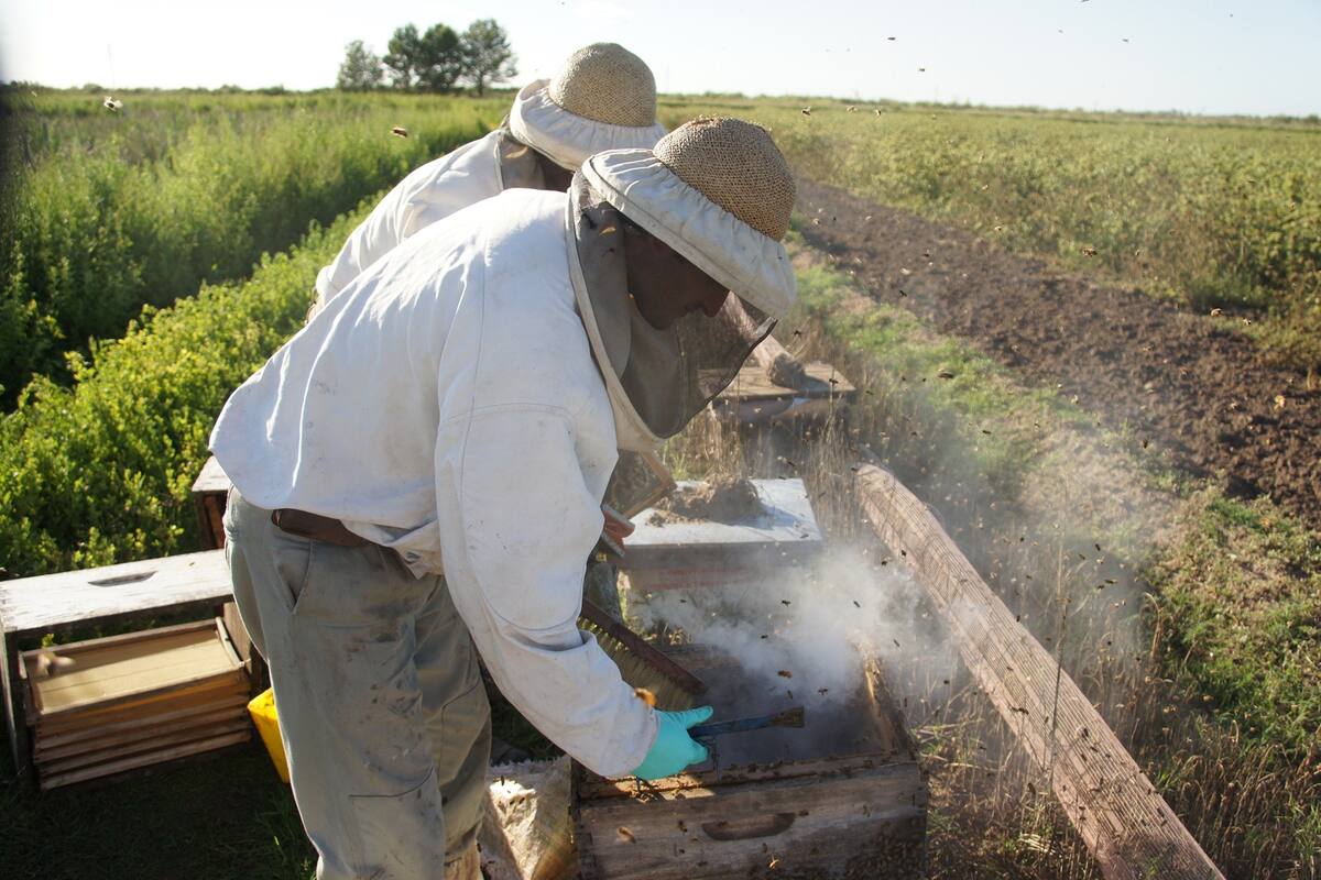 Productores de miel asociados para conquistar mercados externos