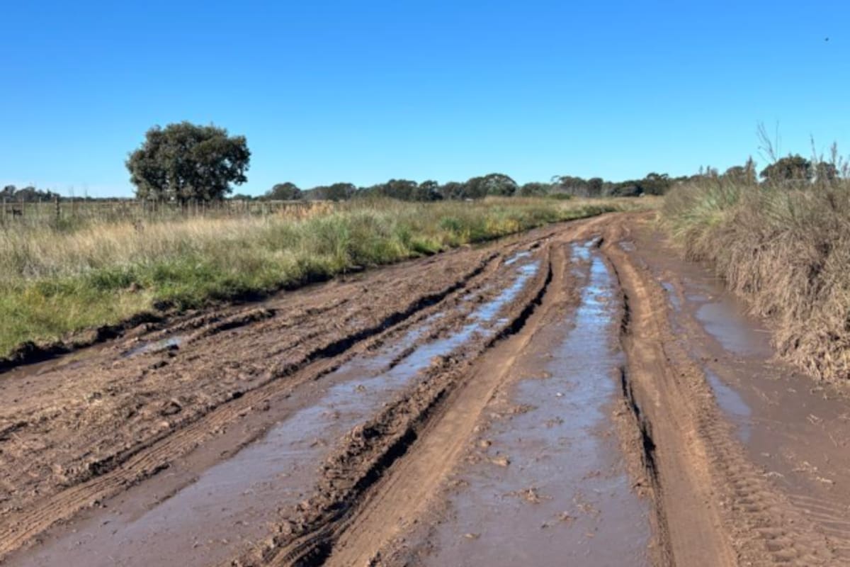 Productores de Saladillo aseguran que detectaron inconsistencias entre la recaudación y las inversiones en caminos rurales y preparan nuevas acciones