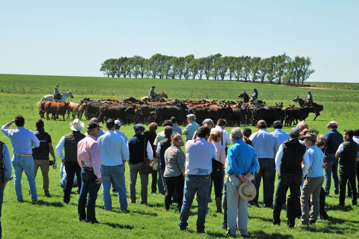 Productores del exterior y ganaderos locales visitaron cabañas cordobesas donde se produce la raza
