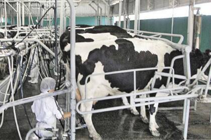 Productores e industriales del Mercosur solicitaron mantener la exclusión de los lácteos en el acuerdo