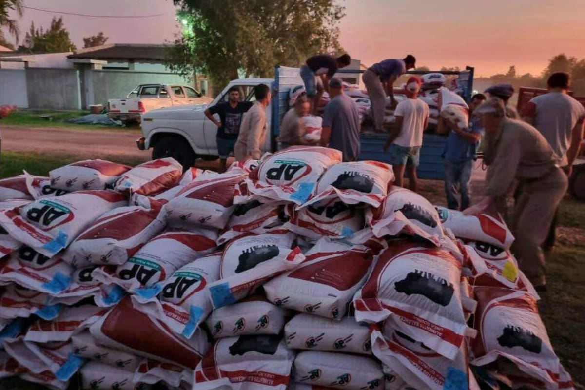 Productores organizaron una red de ayuda solidaria para llevar alimento balanceado a Cuña Boscosa, Santa Fe