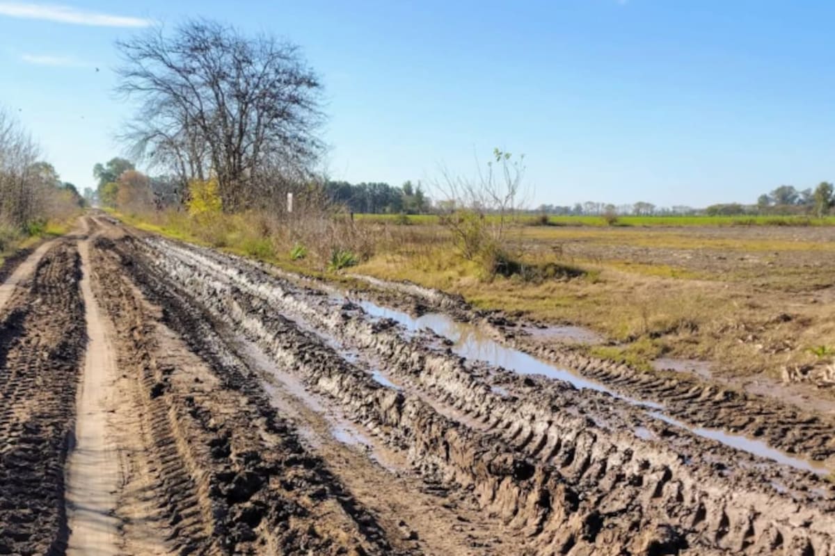 Productores rurales cuestionaron la eliminación de la tasa destinada a caminos y advierten sobre una creciente presión fiscal en Zárate