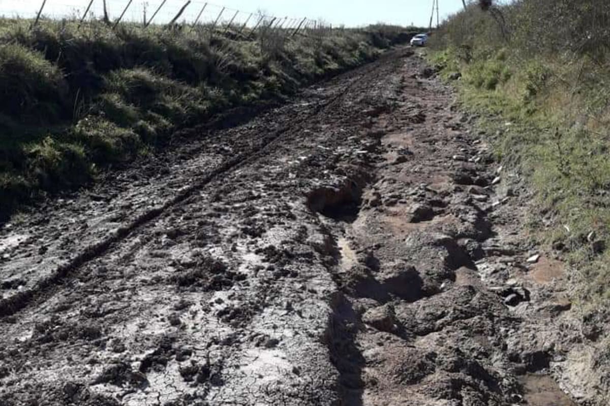 Productores rurales nogoyaenses enviaron una carta al gobernador entrerriano Gustavo Bordet para manifestar su descontento por el estado de los caminos rurales y solicitaron la disolución de la Dirección de Vialidad de la provincia