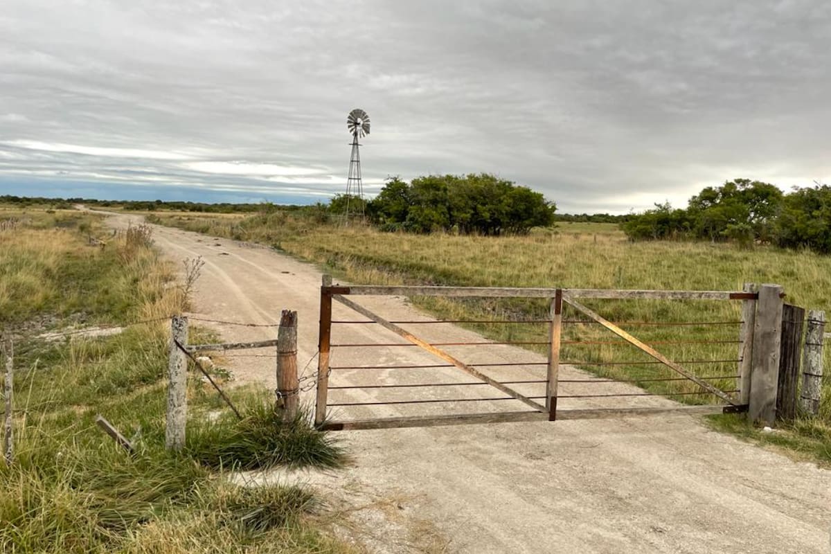 Productores temen ajustes en los alquileres tras la baja de retenciones, pero los expertos prevén acuerdos y pocos cambios