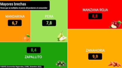 Productos con mayores brecha entre lo que pagó el consumidor y lo que recibió el productor en diciembre de 2022