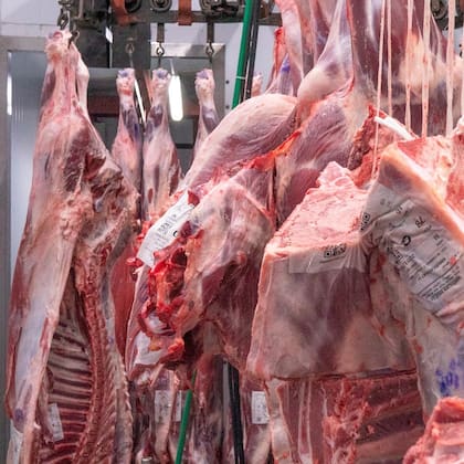 Productos del frigorífico American Meat