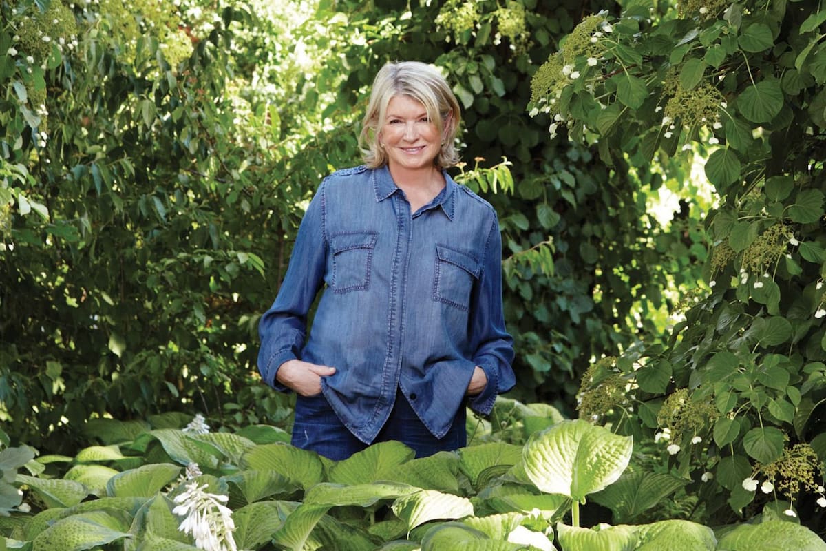 Profesionales dermatólogos de Martha Stewart comparten su secreto para una piel sana