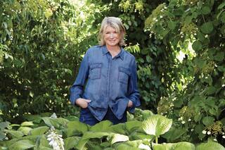 Martha Stewart cumple 83 años y está reluciente: esta es es su rutina de skincare