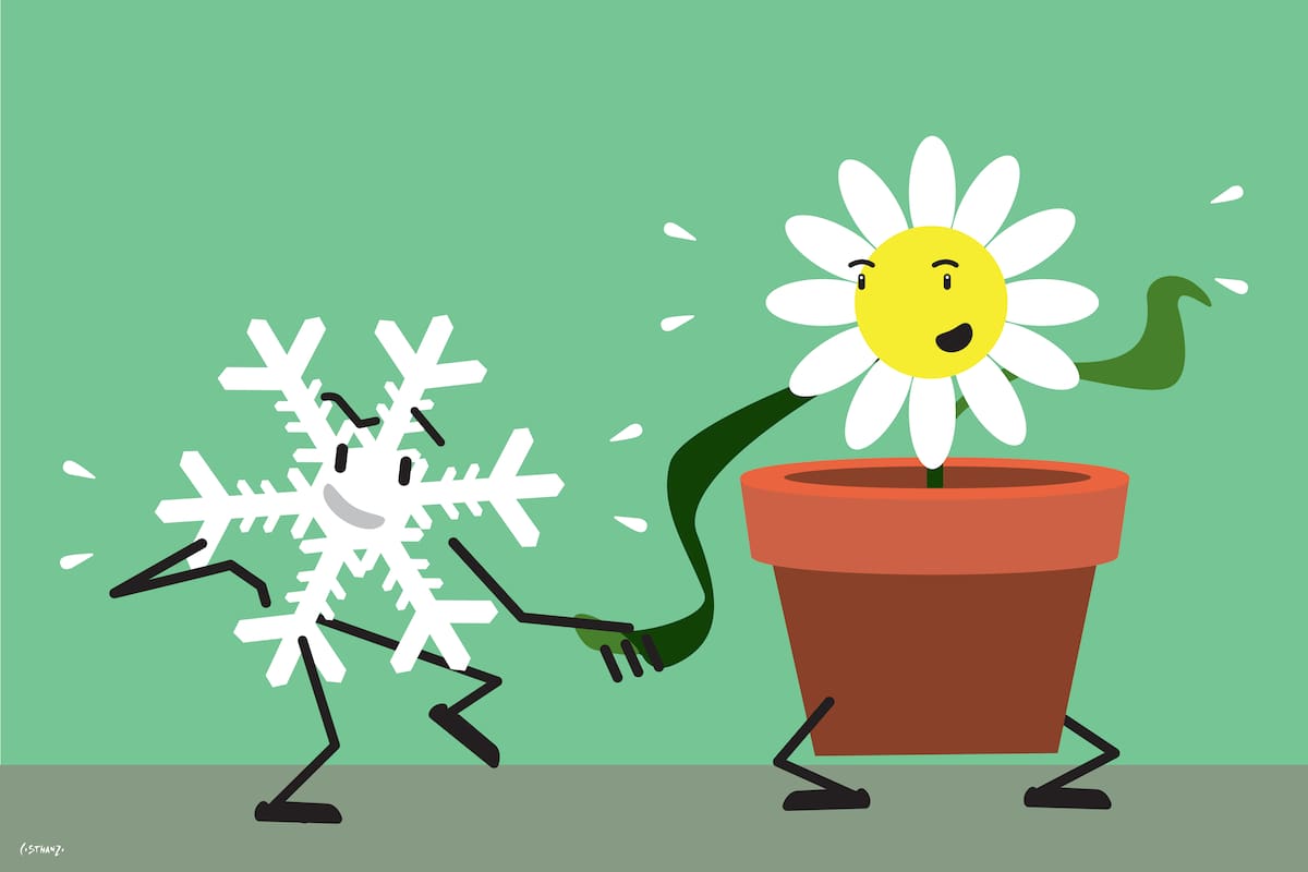 Pronóstico Resrvado