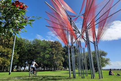 Propato toma la simbología de la flor nacional, que recrea con 15 kilómetros de tansa; "Rojo flor" es una obra de sitio específico instalada en el Parque de los Niños, en Núñez