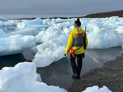 "“proteger a estos gigantes implica cuidar el equilibrio climático que sostiene nuestra propia existencia”