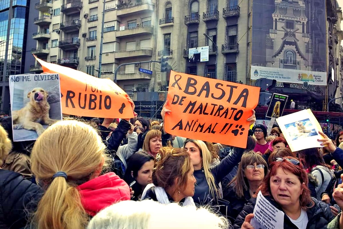 Protestas por la muerte del perro Rubio frente al Congreso