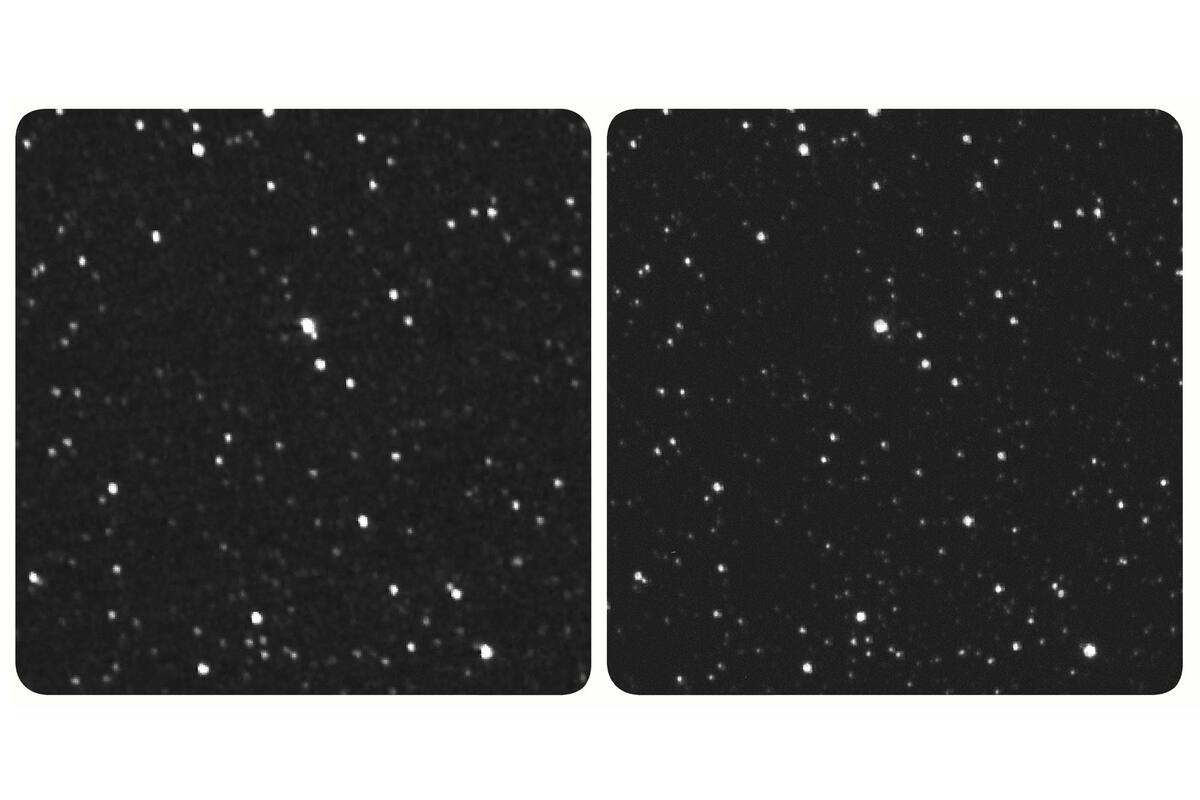 Próxima Centauri (en el centro de la imagen) vista desde la sonda New Horizons (izquierda) y desde la Tierra (derecha). Los 7000 millones de kiómetros de diferencia entre un punto de vista y el otro permiten ver el cambio de paralaje