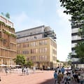 Madera y bambú, alternativas versátiles y sustentables para construir de manera diferente