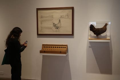 "Proyecto huevos", creada en 1976 por el artista y arquitecto argentino Luis Fernando Benedit se suma a la exhibición de la colección permanente de Malba, "Latinoamérica en expansión"