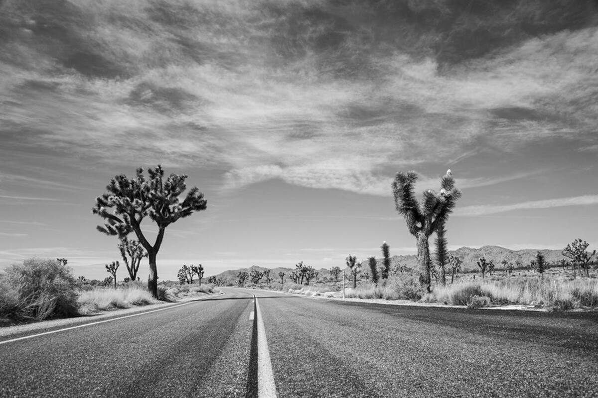 Proyecto x argentina