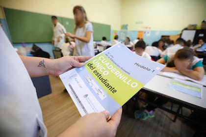 Las pruebas Aprender confirman hace tiempo las dificultades de comprensión de textos que tienen los alumnos del nivel primario