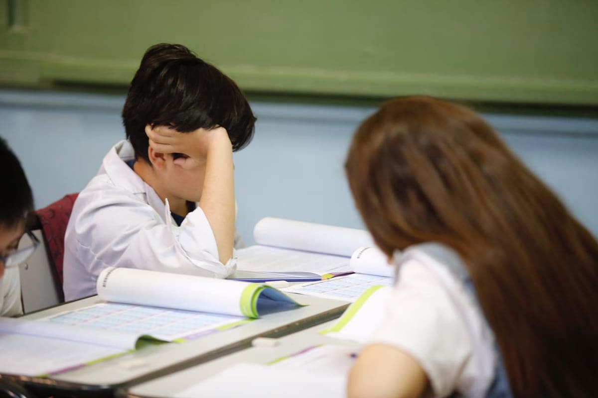 Prueba Aprender: evalúan a 725.000 alumnos de 6° grado en lengua y matemática