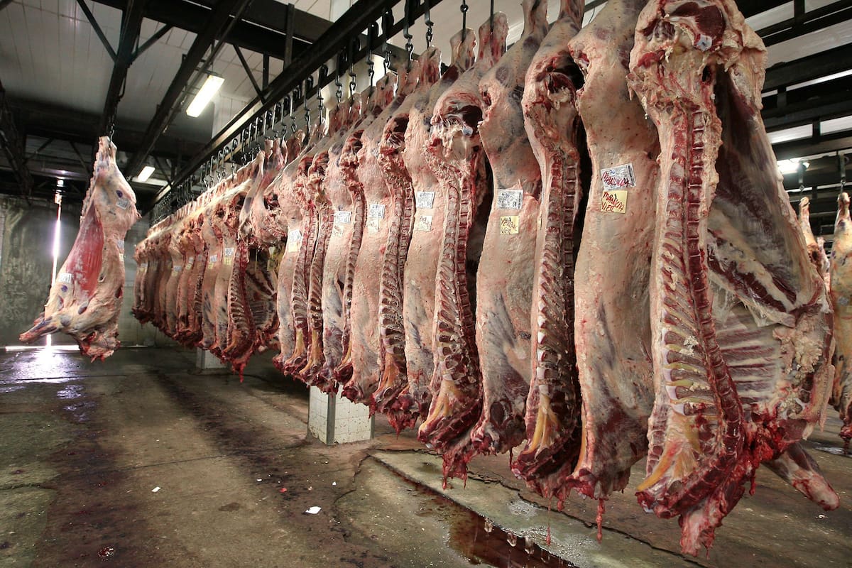 ptc _El frigorifico Yaguane, aun con destino incierto
planta faenadora de Gonzalez Catan
carne de vaca
_7_05_201