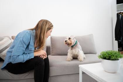 Puede tener que ver con un estado de ansiedad en la mascota (Foto: Freepik)