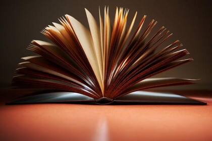 ¿Puedes juzgar un libro entero leyendo solo la última página?