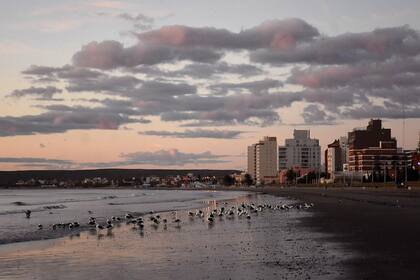 Puerto Madryn