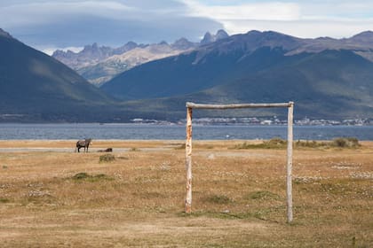 Puerto Almanza está habitado por alrededor de 36 familias de forma permanente.