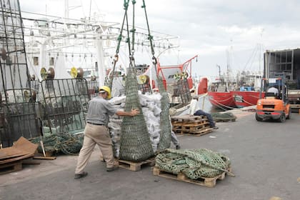 El reporte proyecta que, en los próximos años, los precios internacionales del pescado y otros productos acuáticos tenderán a la baja; según la entidad, esto ocurrirá porque “el aumento de la producción superará el crecimiento de la demanda”