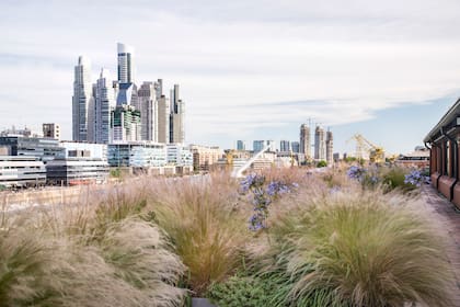 Puerto Madero se posicionó como el barrio más caro para alquilar