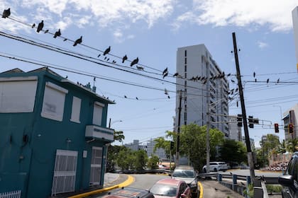 Puerto Rico demanda a Luma para cancelar contrato en medio de apagones crónicos y aumento de tarifas