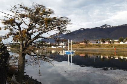 Puerto Williams está en la costa norte de la isla Navarino y en la ribera sur del canal Beagle